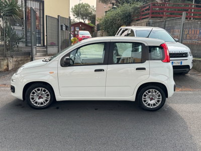 Fiat Panda Cross Cross 1.0 FireFly S&S Hybrid (4)