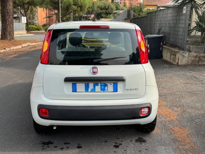 Fiat Panda Cross Cross 1.0 FireFly S&S Hybrid (6)
