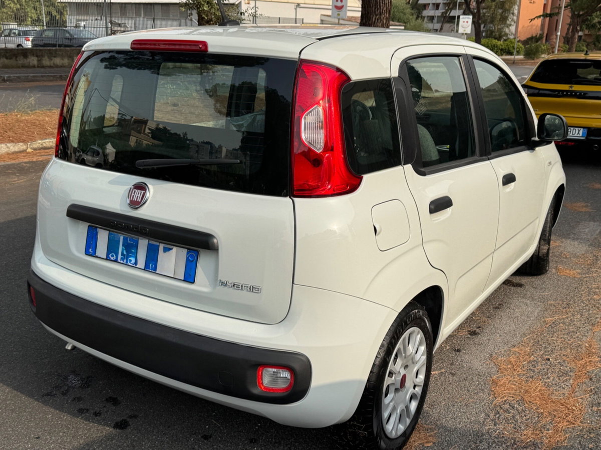 Fiat Panda Cross Cross 1.0 FireFly S&S Hybrid (7)