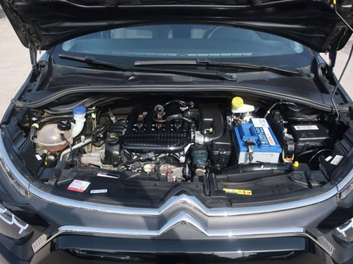 Citroen C3 1.2 puretech You s&s 83cv neopatentati (14)