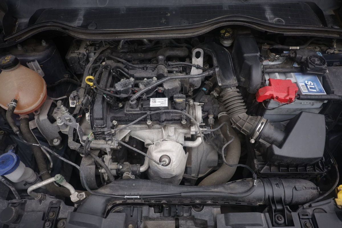 Ford Fiesta 1.1 85 CV 5 porte ST-Line (19)