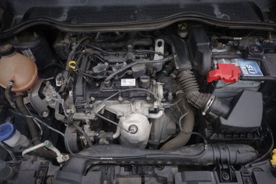 Ford Fiesta 1.1 85 CV 5 porte ST-Line (19)