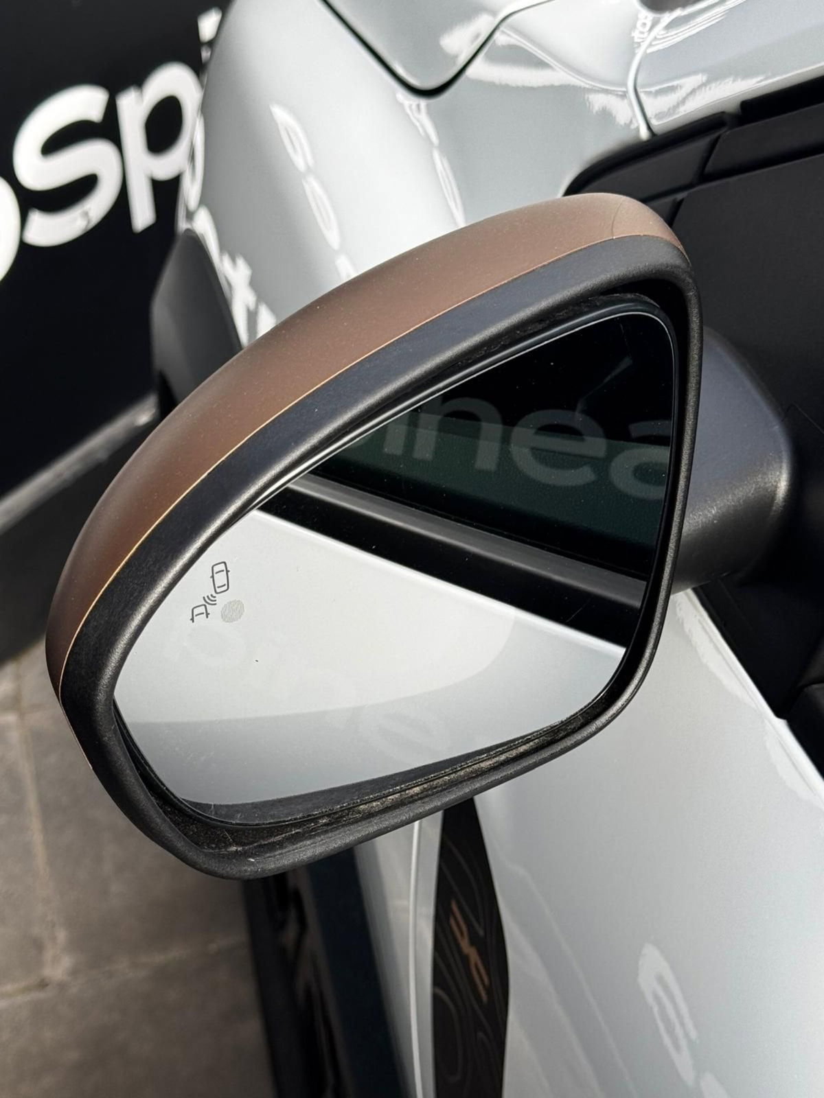 Dacia Sandero Stepway 1.2 Eco-G Extreme 120cv auto (9)