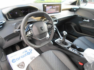 Peugeot 208 PureTech 100 Stop&Start 5 porte Allure (15)