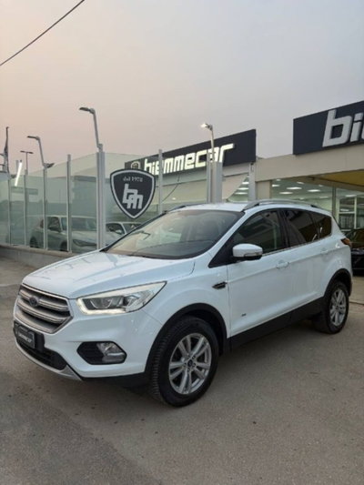 Ford Kuga 2.0 TDCI 150 CV S&S 4WD Powershift Business (3)