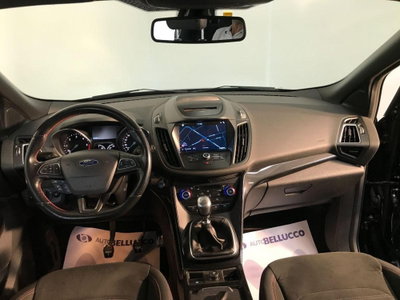 Ford Kuga 1.5 EcoBlue 120 CV 2WD ST-Line (7)