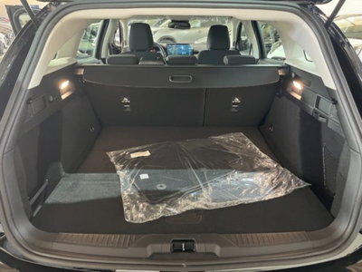 Ford Focus Station Wagon 1.5 ecoblue Titanium Edition 115cv auto (19)