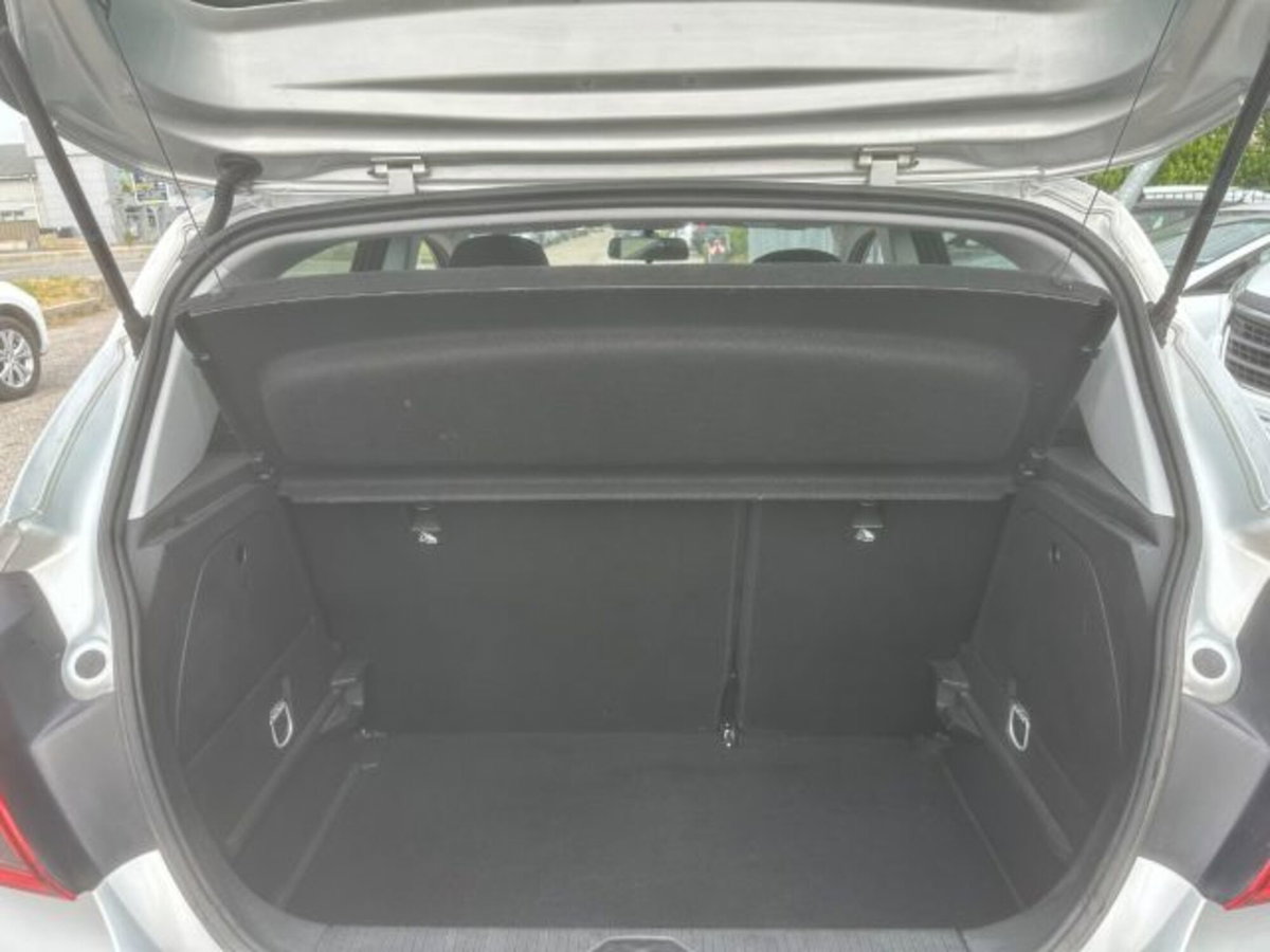Opel Corsa 1.4 90CV GPL Tech 5 porte b-Color (9)