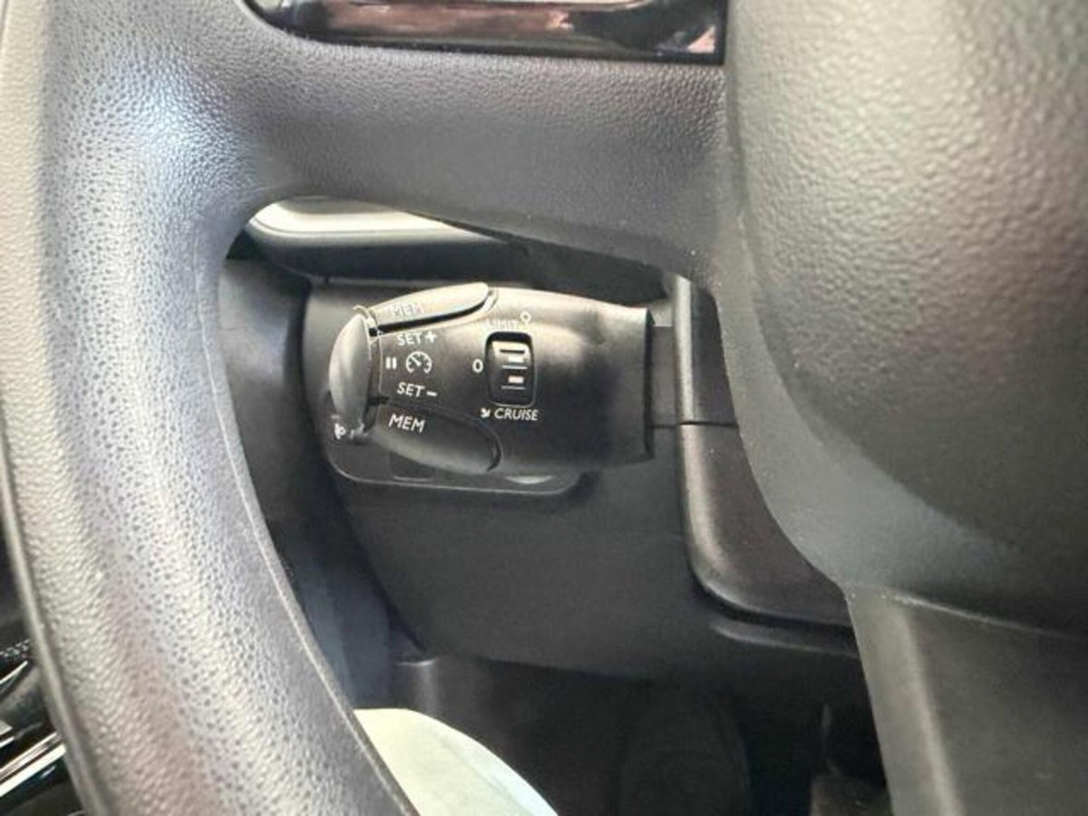 Citroen C3 BlueHDi 100 S&S Shine (18)