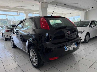 Fiat Punto 1.3 MJT II S&S 95 CV 5 porte Street (3)