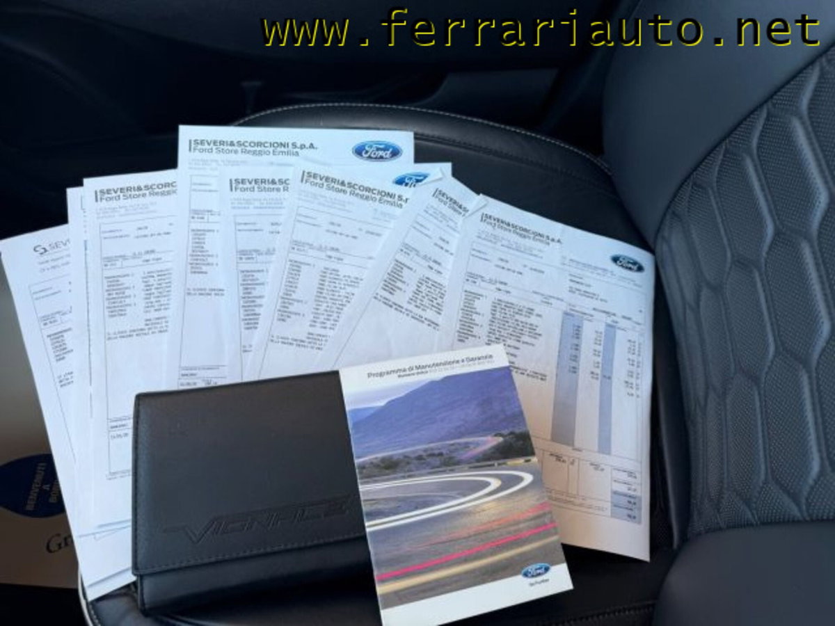 Ford Edge 2.0 EcoBlue 238 CV AWD Start&Stop aut. Vignale (10)