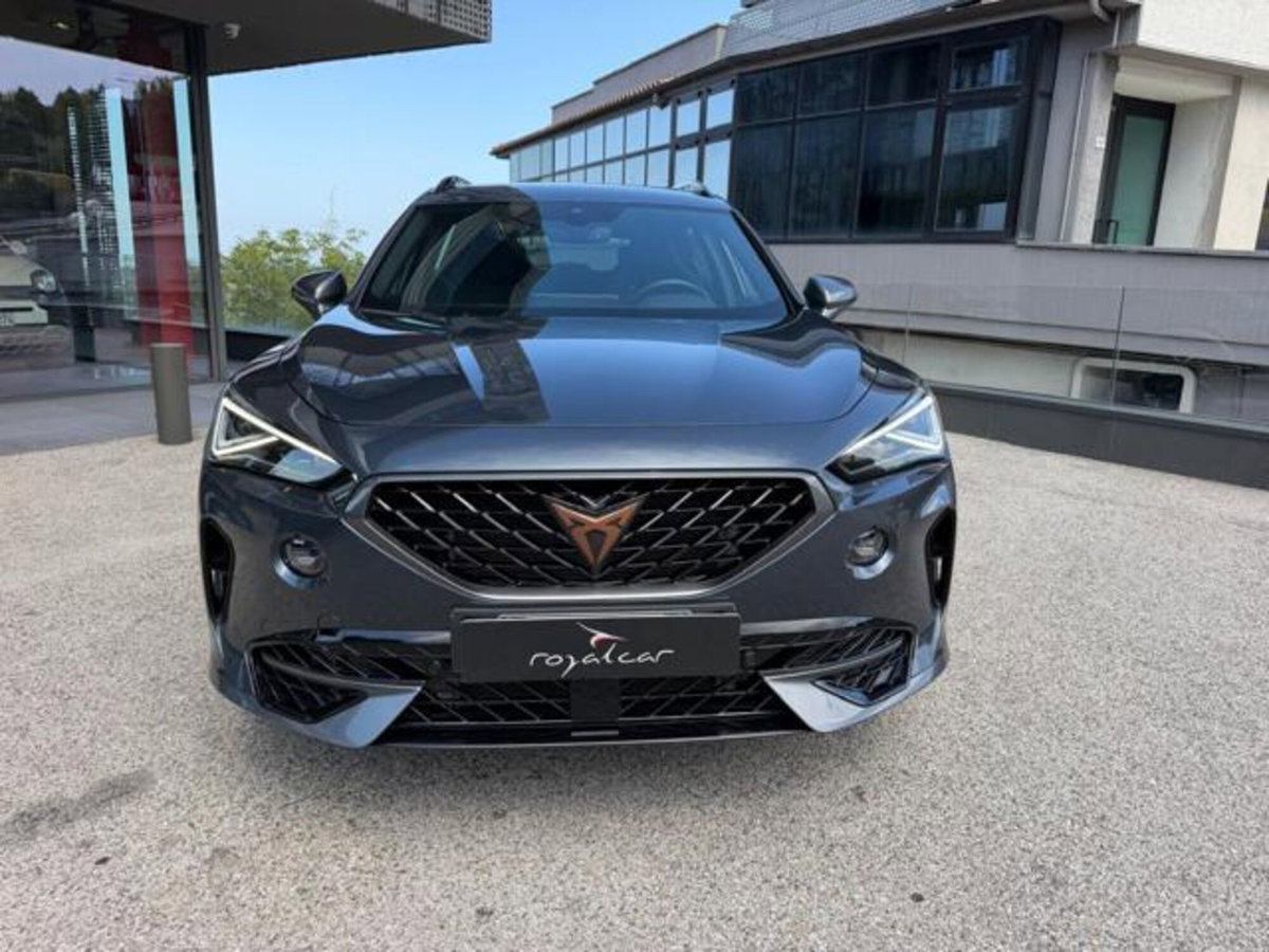 Cupra Formentor Formentor 2.0 TSI 4Drive DSG VZ Launch Edition (2)