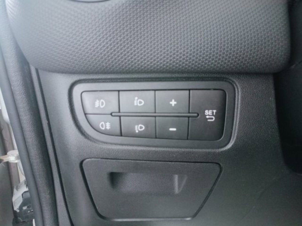 Fiat Punto 1.3 MJT II 75 CV 5 porte Lounge (16)