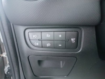 Fiat Punto 1.3 MJT II 75 CV 5 porte Lounge (16)