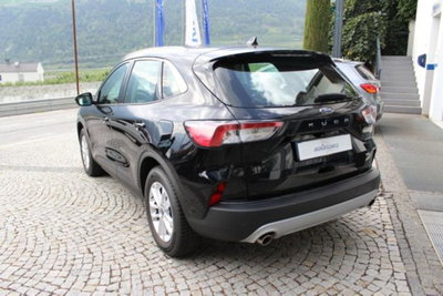 Ford Kuga 2.0 EcoBlue Hybrid 150 CV 2WD Titanium (3)