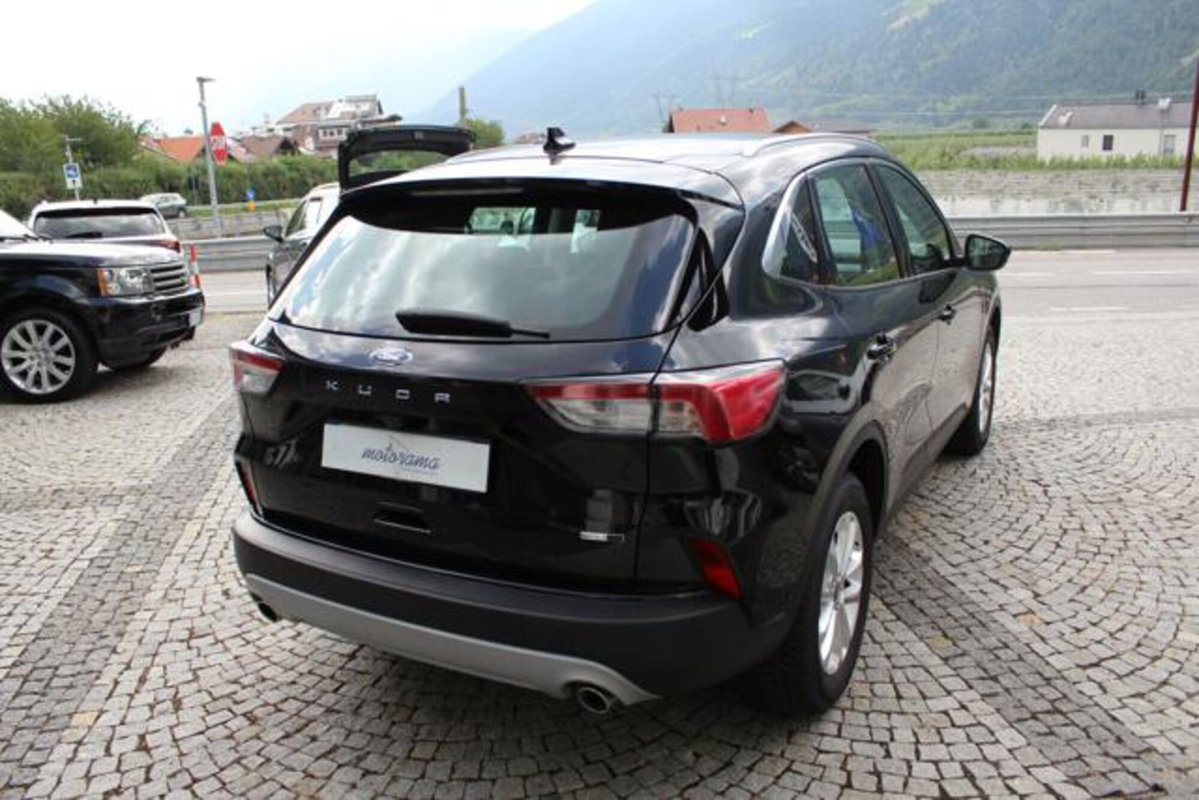 Ford Kuga 2.0 EcoBlue Hybrid 150 CV 2WD Titanium (4)