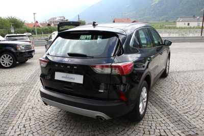 Ford Kuga 2.0 EcoBlue Hybrid 150 CV 2WD Titanium (4)