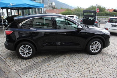 Ford Kuga 2.0 EcoBlue Hybrid 150 CV 2WD Titanium (5)