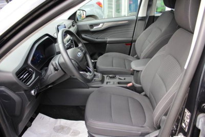 Ford Kuga 2.0 EcoBlue Hybrid 150 CV 2WD Titanium (7)