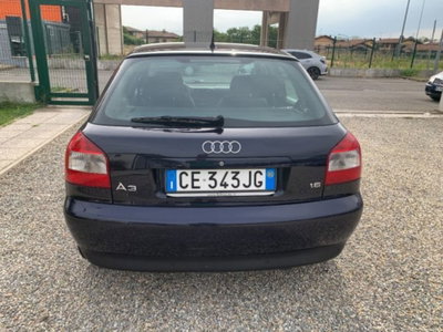 Audi A3 1.6 cat 5p. Ambiente (4)