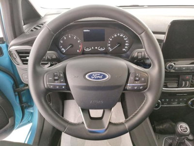 Ford Fiesta 1.1 75 CV GPL 5 porte Titanium (9)
