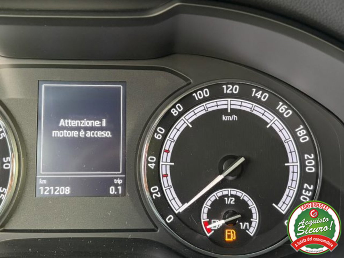 Skoda Kodiaq 2.0 TDI EVO SCR 4x4 DSG 7 posti Executive (19)