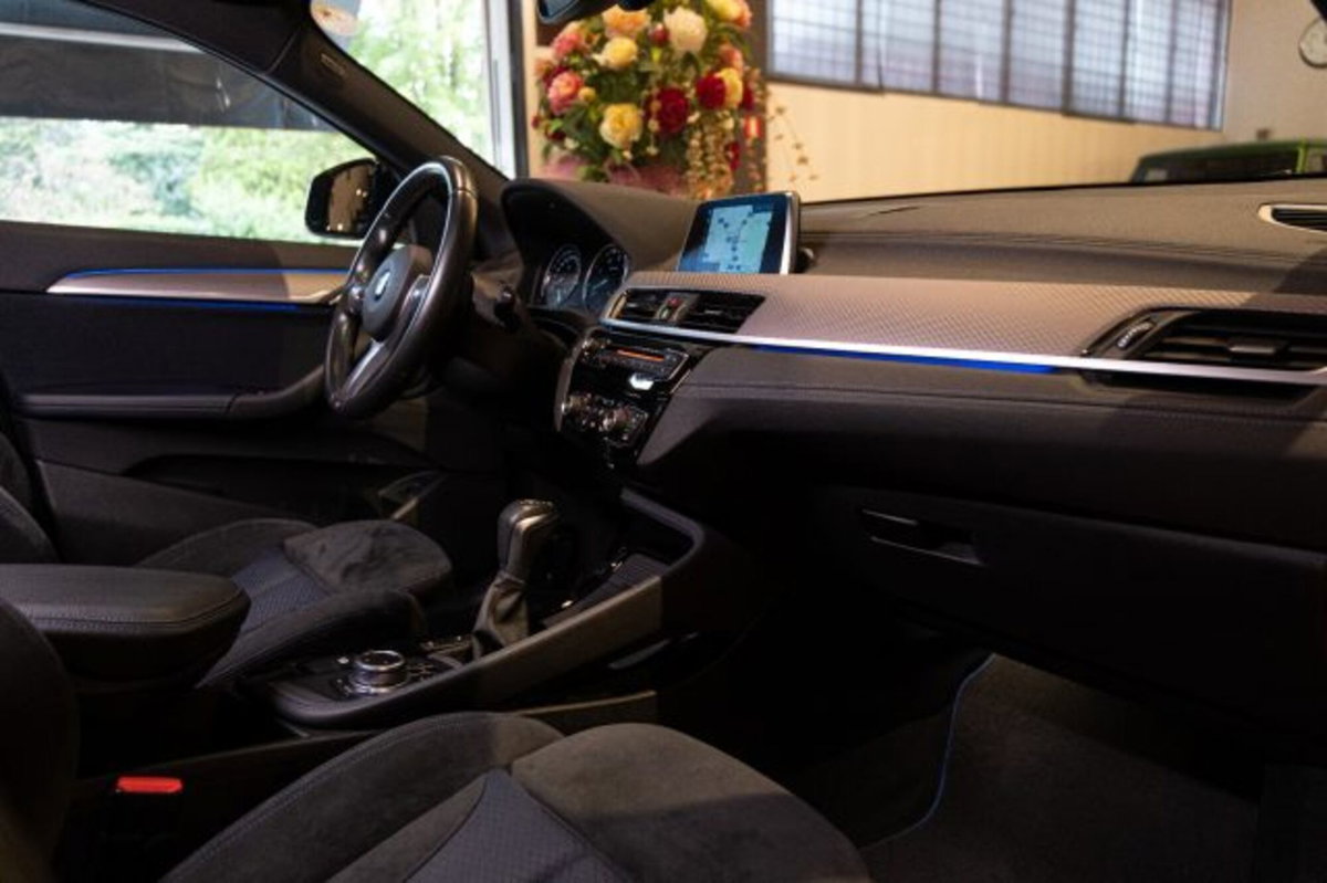 BMW X2 xDrive25d Advantage (10)