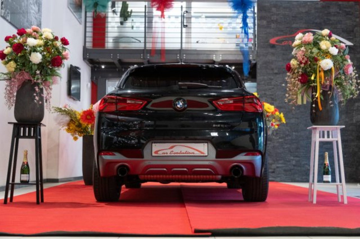 BMW X2 xDrive25d Advantage (14)