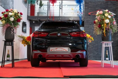 BMW X2 xDrive25d Advantage (14)