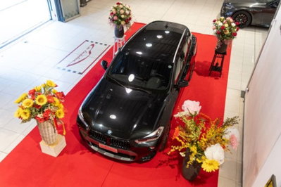 BMW X2 xDrive25d Advantage (15)