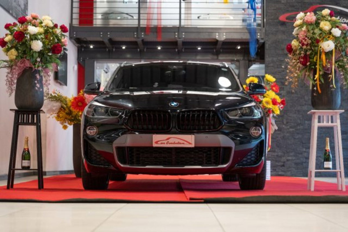 BMW X2 xDrive25d Advantage (6)