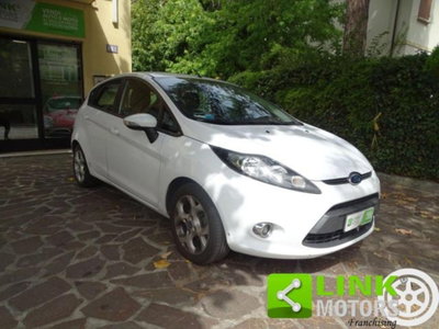 Ford Fiesta 1.4 5 porte Bz.- GPL Titanium (19)