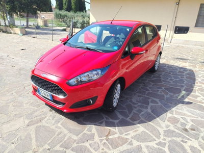 Ford Fiesta 1.4 5 porte Bz.- GPL Business N1 usata
