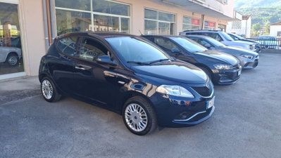 Lancia Ypsilon 1.2 69 CV 5 porte Gold usata