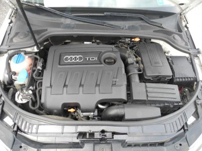 Audi A3 1.6 TDI 90 CV CR F.AP. Ambiente (14)