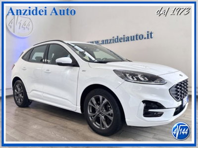 Ford Kuga 1.5 EcoBlue 120 CV aut. 2WD ST-Line X Design usata