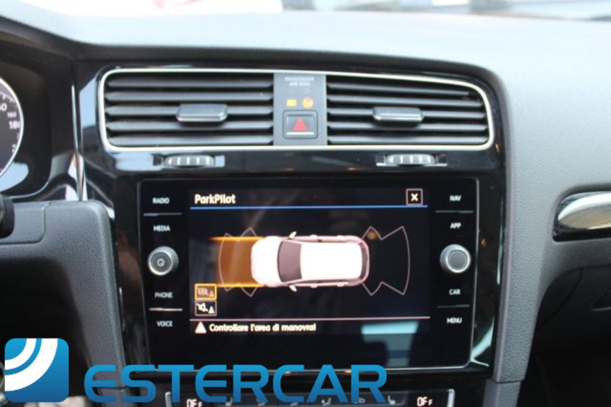 Volkswagen Golf 1.6 TDI 115 CV 5p. Highline BlueMotion Technology (14)