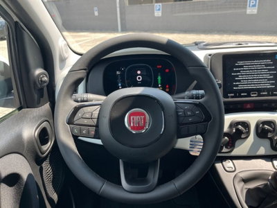 Fiat Pandina 1.0 firefly hybrid s&s 65cv (8)