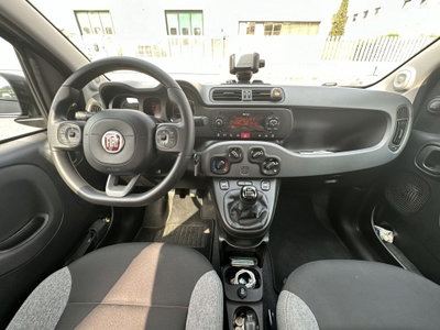 Fiat Panda 1.0 FireFly S&S Hybrid City Cross (13)