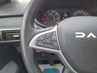 Dacia Sandero Stepway 1.0 tce Extreme Up Eco-g 100cv (12)