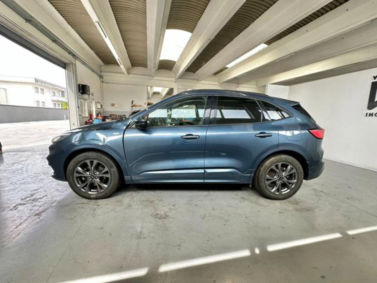 Ford Kuga 1.5 EcoBlue 120 CV 2WD ST-Line (4)