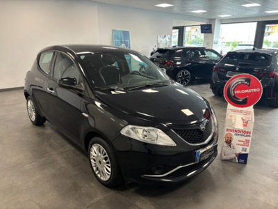 Lancia Ypsilon 1.3 MJT 16V 95 CV 5 porte S&S Gold usata