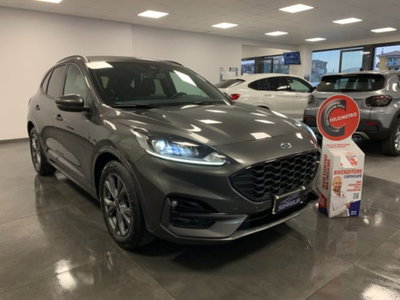 Ford Kuga 2.0 EcoBlue 120 CV aut. 2WD ST-Line X usata