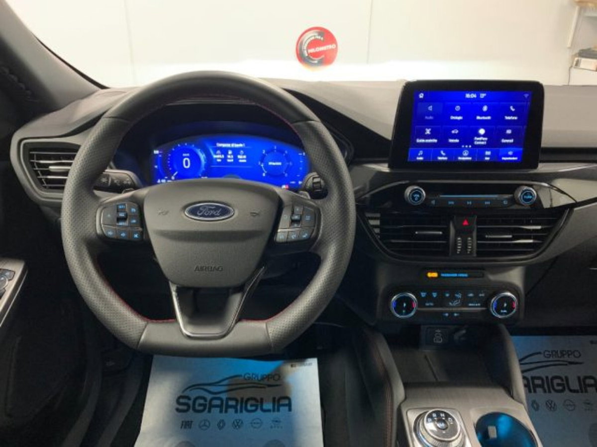 Ford Kuga 2.0 EcoBlue 120 CV aut. 2WD ST-Line X (10)