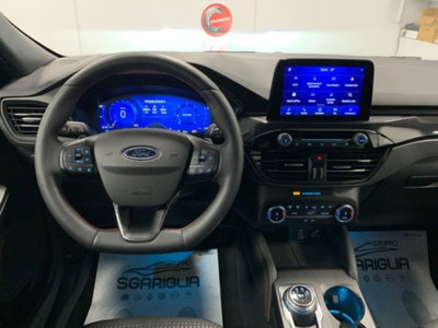 Ford Kuga 2.0 EcoBlue 120 CV aut. 2WD ST-Line X (12)