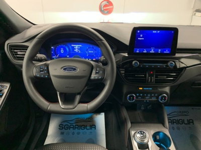 Ford Kuga 2.0 EcoBlue 120 CV aut. 2WD ST-Line X (14)