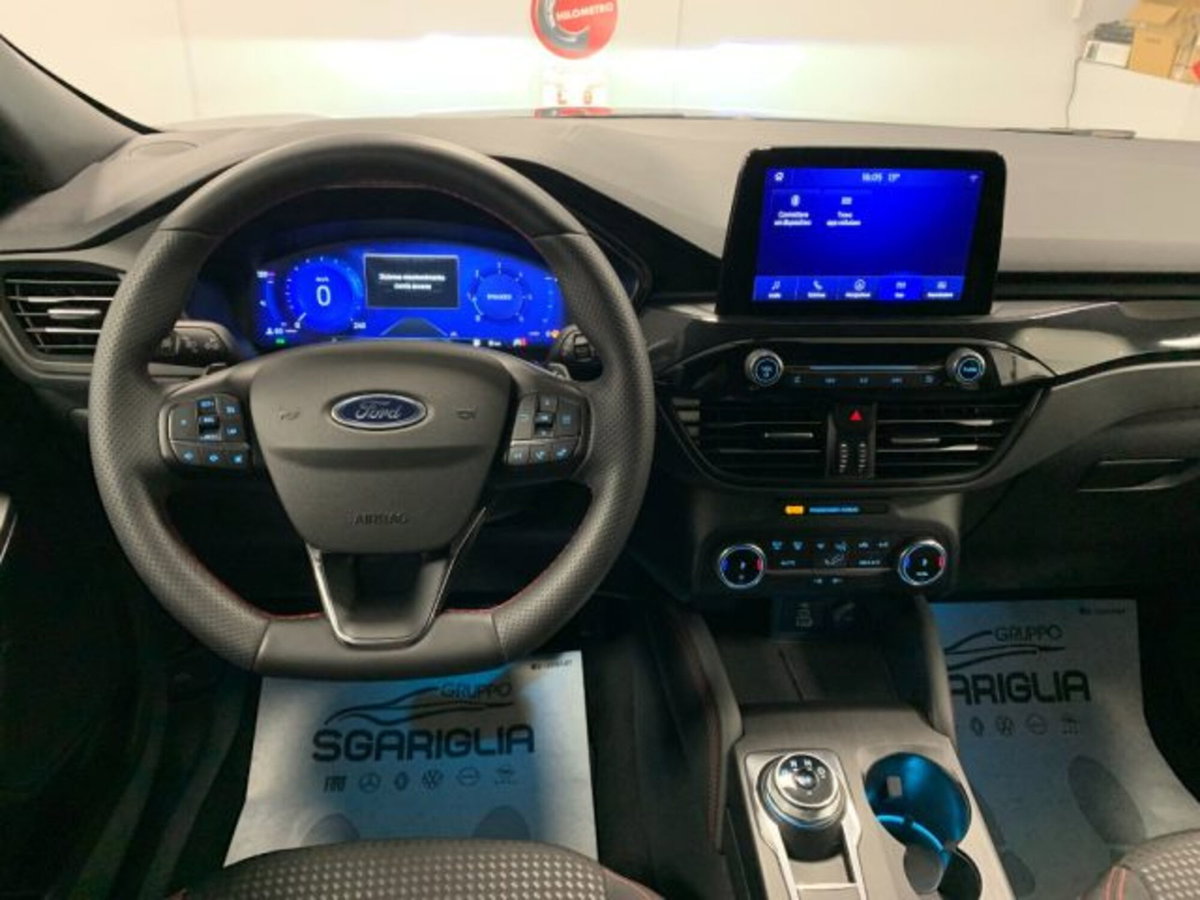 Ford Kuga 2.0 EcoBlue 120 CV aut. 2WD ST-Line X (15)