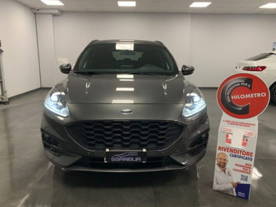 Ford Kuga 2.0 EcoBlue 120 CV aut. 2WD ST-Line X (2)