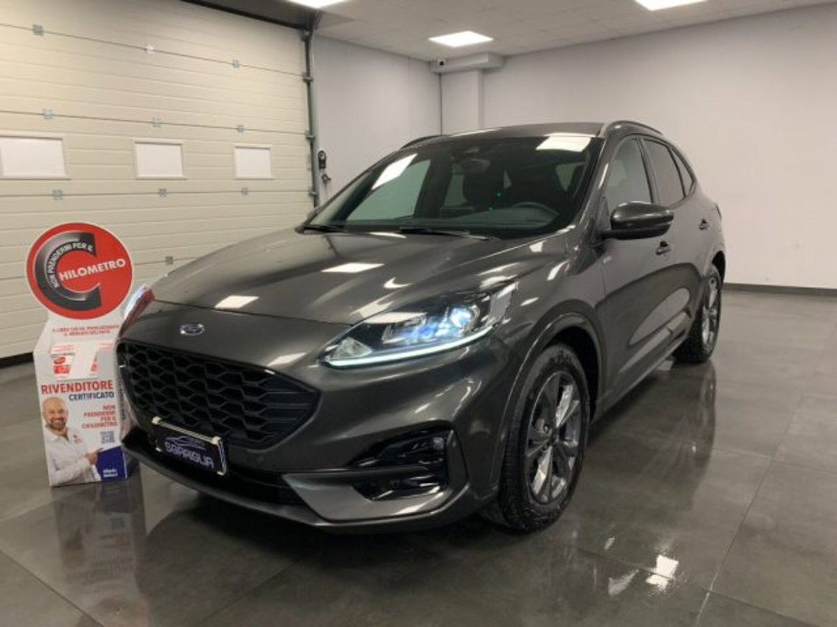 Ford Kuga 2.0 EcoBlue 120 CV aut. 2WD ST-Line X (3)