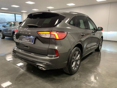 Ford Kuga 2.0 EcoBlue 120 CV aut. 2WD ST-Line X (6)